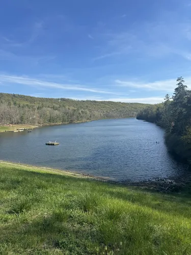 Best Hikes and Trails in Basye | AllTrails