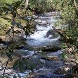 Raven Cliff Falls Trail, Georgia - 4,614 Reviews, Map | AllTrails