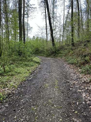Eisenberger Mühltal Rundweg