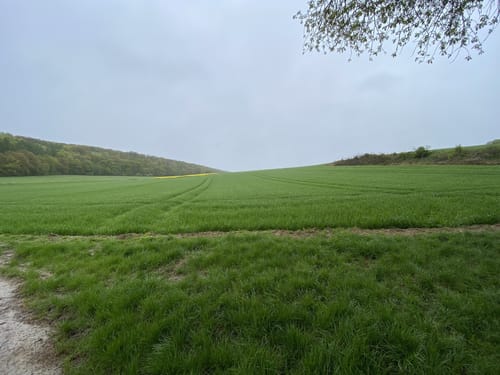 Waldrunde Igstadt