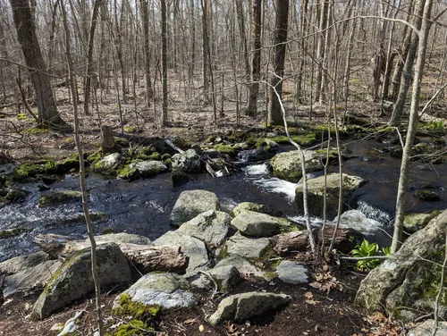 View of Best Hikes and Trails in George B. Parker Woodland Wildlife Refuge ...