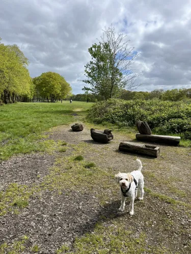 Best Trail Running Trails in Trent Park | AllTrails