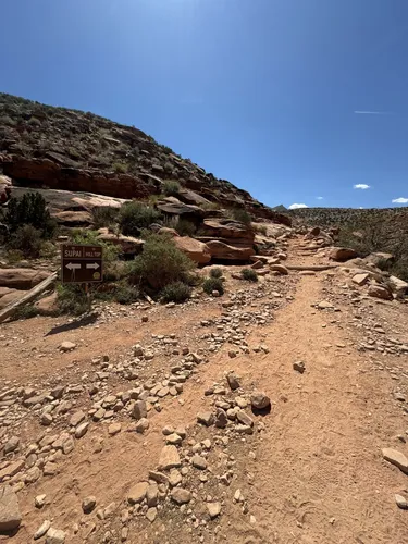 Best Historic Site Trails in Supai - EyJidWNrZXQiOiJhc3NldHMuYWxsdHJhaWxzLmNvbSIsImtleSI6InVwbG9hZHMvcGhvdG8vaW1hZ2UvNzMzMzUyNTUvZjBhODRkMjdlOWFiZDEwMjlkZGUyYWI3ZjY3ZDQwZWMuanBnIiwiZWRpdHMiOnsidG9Gb3JtYXQiOiJ3ZWJwIiwicmVzaXplIjp7IndpZHRoIjo1MDAsImhlaWdodCI6NTAwLCJmaXQiOiJpbnNpZGUifSwicm90YXRlIjpudWxsLCJqcGVnIjp7InRyZWxsaXNRdWFudGlzYXRpb24iOnRydWUsIm92ZXJzaG9vdERlcmluZ2luZyI6dHJ1ZSwib3B0aW1pc2VTY2FucyI6dHJ1ZSwicXVhbnRpc2F0aW9uVGFibGUiOjN9fX0=