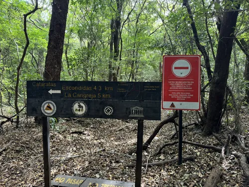 Le migliori escursioni e sentieri in Rincon de la Vieja National Park