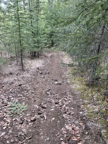 best-views-trails-in-100-mile-house-alltrails