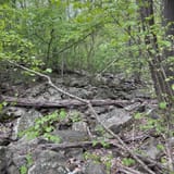 Raven Rocks via Appalachian Trail, Virginia - 6,000 Reviews, Map ...