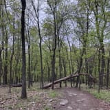 Raven Rocks via Appalachian Trail, Virginia - 6,000 Reviews, Map ...