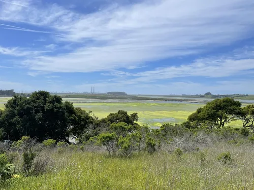 Best Wheelchair Friendly Trails in Elkhorn Slough National Estuarine