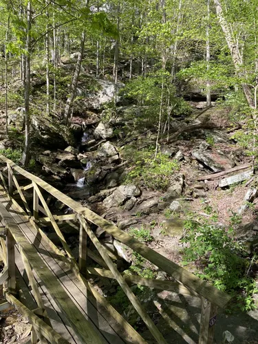 Best River Trails in Sewanee AllTrails