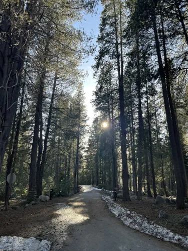 Best Moderate Trails In Donner Memorial State Park Alltrails 3945