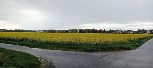 Von Uckendorf rund um die Golfanlage