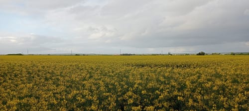 Von Uckendorf rund um die Golfanlage
