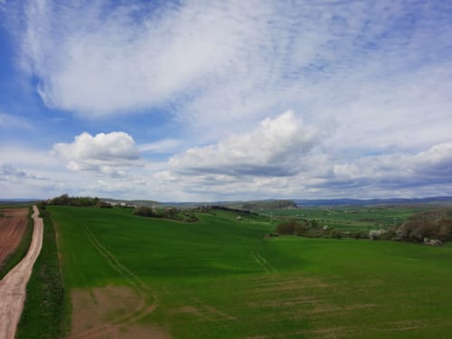 Urwaldpfad Rüdigsdorf