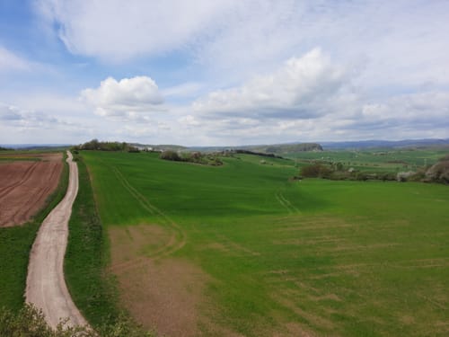 Urwaldpfad Rüdigsdorf