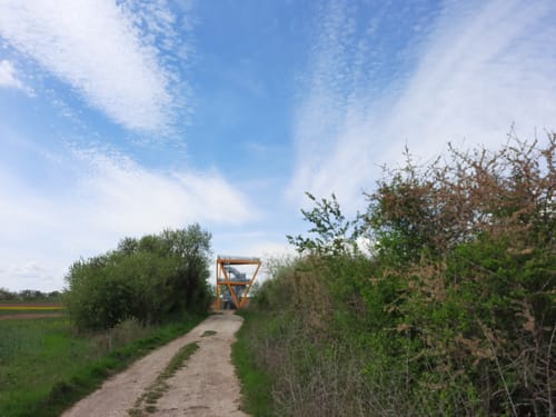 Urwaldpfad Rüdigsdorf