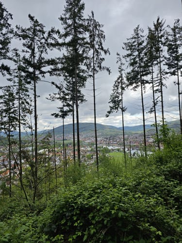 Rundwanderweg Nr. 3: Königs-Weg