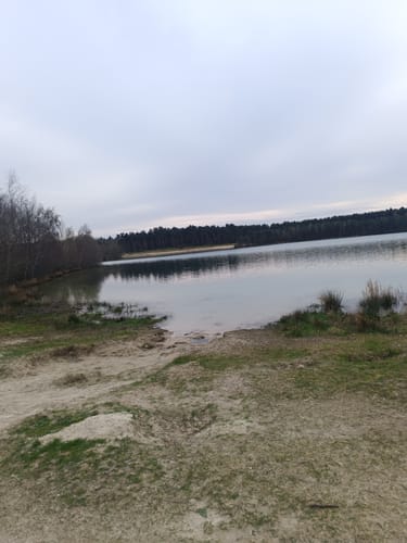 Um den Dankernsee