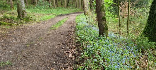 Felder und Wälder bei Buch am Erlbach