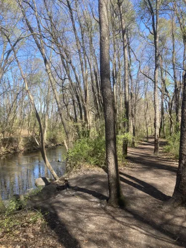 Best Hikes and Trails in Cobus Creek County Park | AllTrails