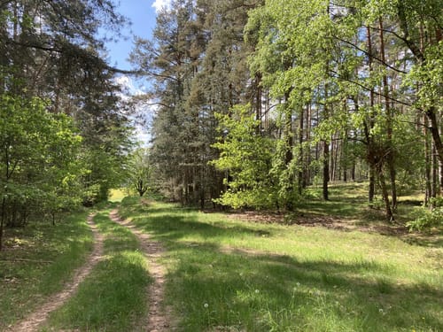 Sulzbach-Rosenberg - Forsthof