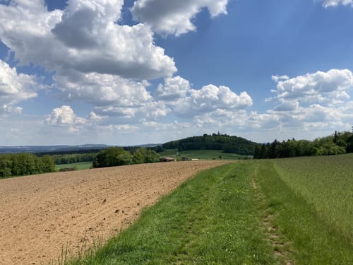 Sulzbach-Rosenberg - Forsthof
