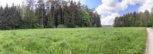Sulzbach-Rosenberg - Forsthof