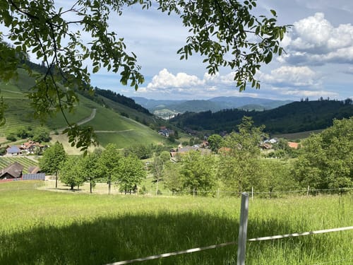 Bermersbach Runde