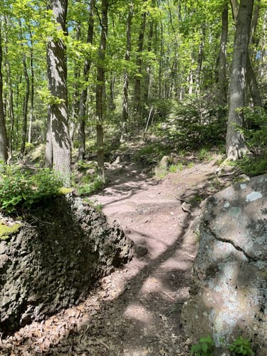 Burg Nideggen und Buntsandsteinroute
