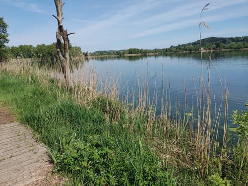 Um den Ilmensee