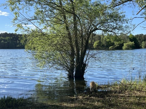 Um den Obersee von Lellichow aus