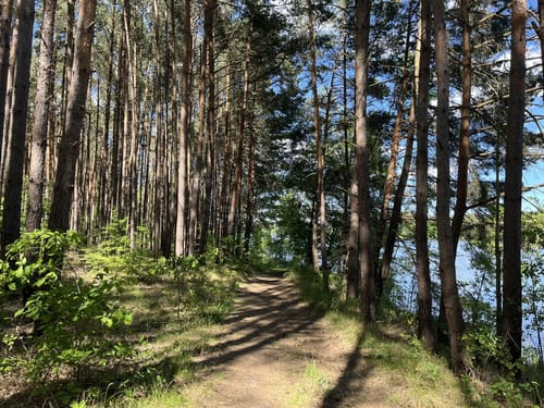 Um den Obersee von Lellichow aus