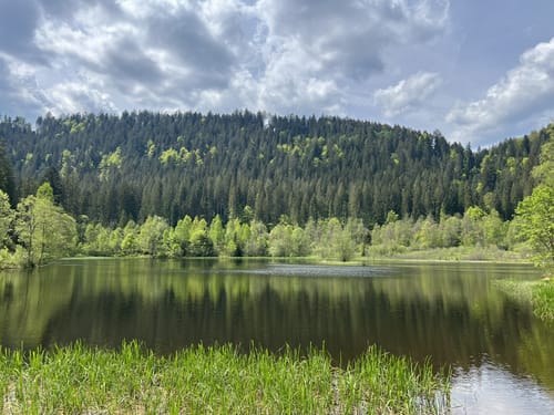 Zu den Sankenbachwasserfällen über den Gruberkopf