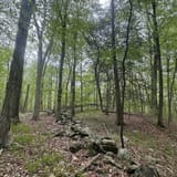 Devil's Den Preserve Trail, Connecticut - 563 Reviews, Map | AllTrails