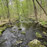 Devil's Den Preserve Trail, Connecticut - 615 Reviews, Map | AllTrails