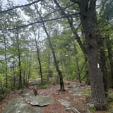 Devil's Den Preserve Trail, Connecticut - 563 Reviews, Map | AllTrails