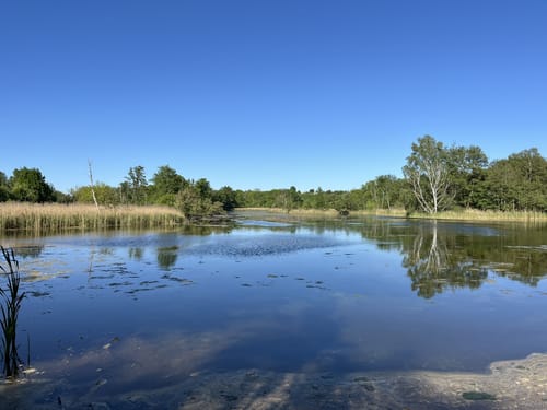Holzstegweg durch das Moor am Tegeler Fließ