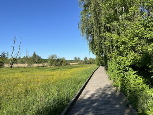 Holzstegweg durch das Moor am Tegeler Fließ