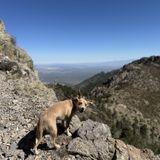 Mount Wrightson via Old Baldy Trail, Arizona - 1,351 Reviews, Map ...