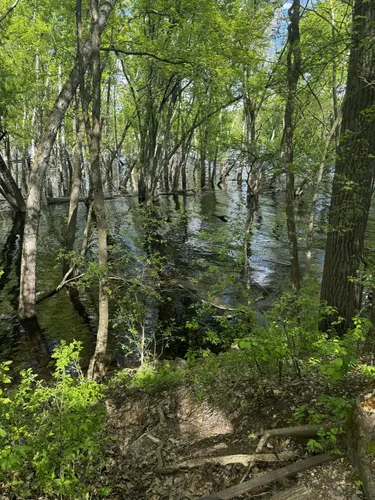 Riverfront Adventures: 5 Scenic Hiking Trails in Hastings – Minnesota
