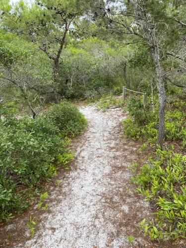 best-kid-friendly-trails-in-destin-alltrails