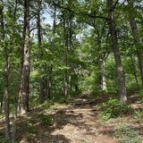 Devil's Kitchen Trail, Missouri - 715 Reviews, Map | AllTrails