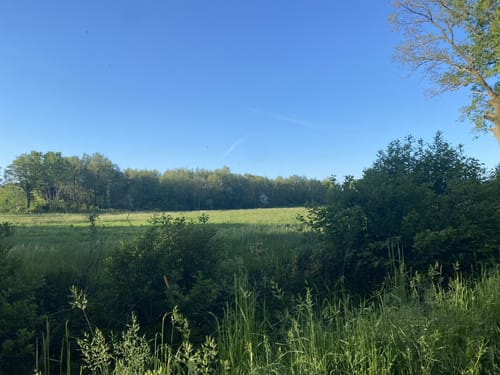 Kaltenkirchen Runde