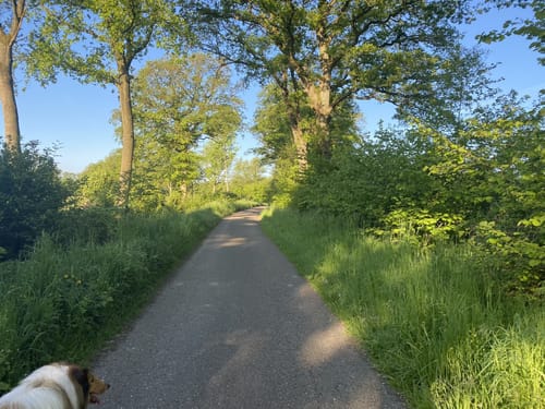 Kaltenkirchen Runde