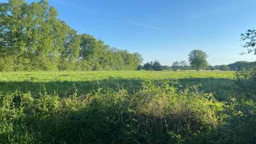 Kaltenkirchen Runde