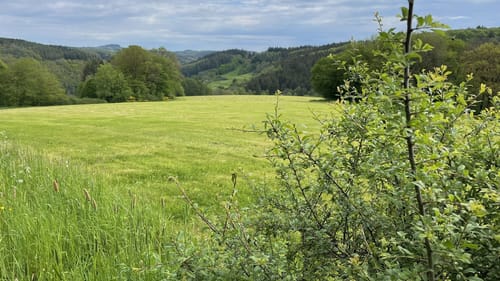 Barweiler Rundwanderung
