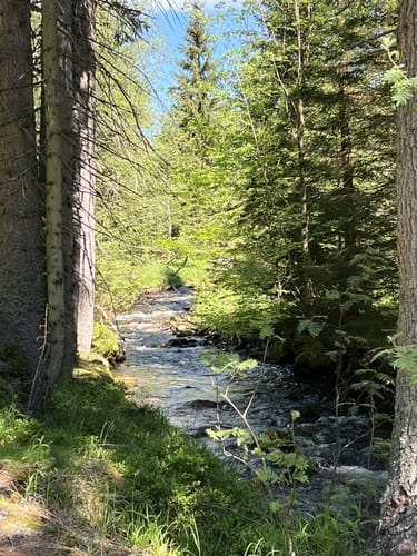 Lusen ab Finsterau