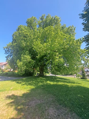Patersdorf - Linden - Schönberg - Prünst