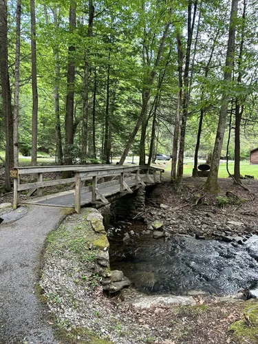 Best Forest Trails in Hacker Valley | AllTrails