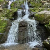 Dark Hollow Falls Trail Virginia - EyJidWNrZXQiOiJhc3NldHMuYWxsdHJhaWxzLmNvbSIsImtleSI6InVwbG9hZHMvcGhvdG8vaW1hZ2UvNzQ0OTg1OTUvYWJiYmZjZDgxNzczNmEwNTBlYjY5YTk5ZDMyMjkyNDEuanBnIiwiZWRpdHMiOnsidG9Gb3JtYXQiOiJqcGVnIiwicmVzaXplIjp7IndpZHRoIjoxNjAsImhlaWdodCI6MTYwLCJmaXQiOiJjb3ZlciJ9LCJyb3RhdGUiOm51bGwsImpwZWciOnsidHJlbGxpc1F1YW50aXNhdGlvbiI6dHJ1ZSwib3ZlcnNob290RGVyaW5naW5nIjp0cnVlLCJvcHRpbWlzZVNjYW5zIjp0cnVlLCJxdWFudGlzYXRpb25UYWJsZSI6M319fQ==