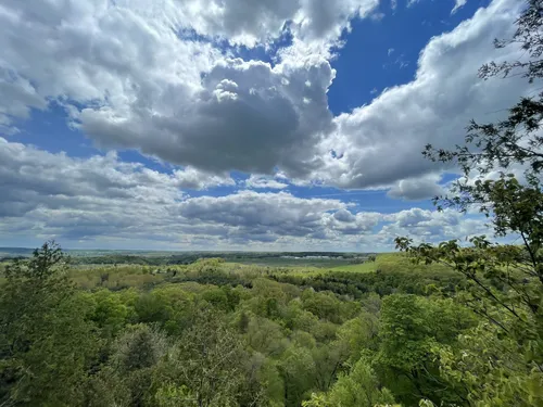 10 Best forest trails in Milton | AllTrails